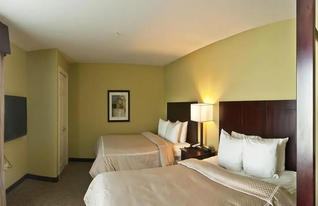 Comfort Suites Harvey - New Orleans West-1